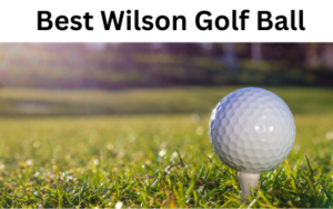 Best Wilson Golf Ball